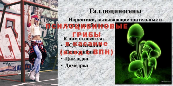 ПСИЛОЦИБИНОВЫЕ ГРИБЫ Алексеевка