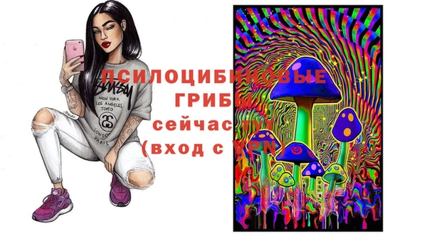 МДПВ Алексин